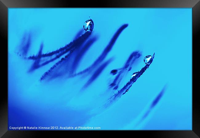Water Droplets Abstract in Blue Framed Print by Natalie Kinnear