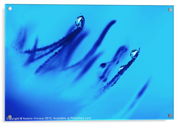 Water Droplets Abstract in Blue Acrylic by Natalie Kinnear