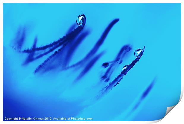 Water Droplets Abstract in Blue Print by Natalie Kinnear