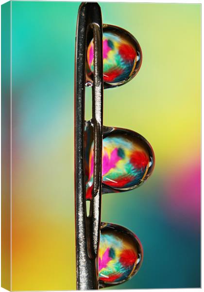 Needle with Tropical Droplets Canvas Print by Sharon Johnstone