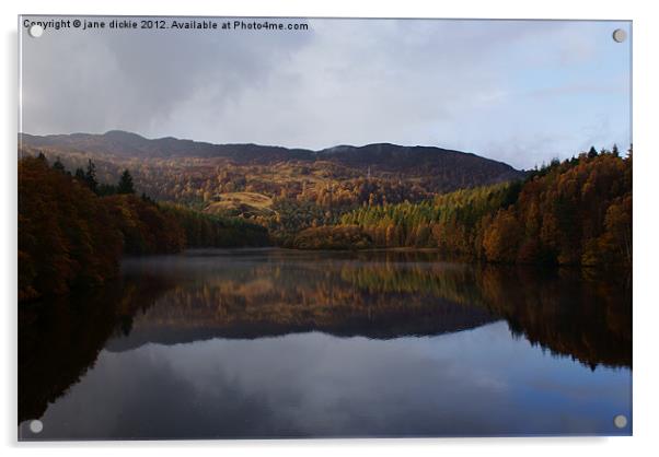 highland reflection Acrylic by jane dickie