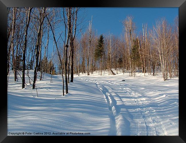 Snowmobile Trail Framed Print by Peter Castine