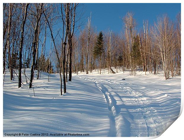 Snowmobile Trail Print by Peter Castine