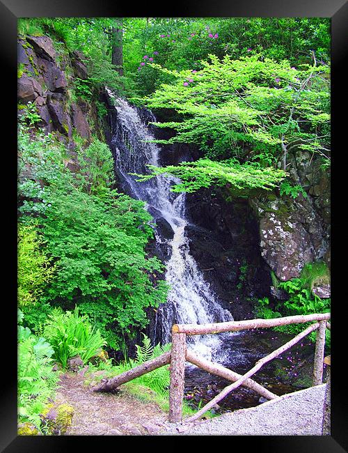 Waterfall at Dunvegan Framed Print by Tom Gomez