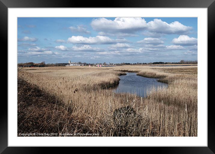 Reed Beds Framed Mounted Print by Chris Day