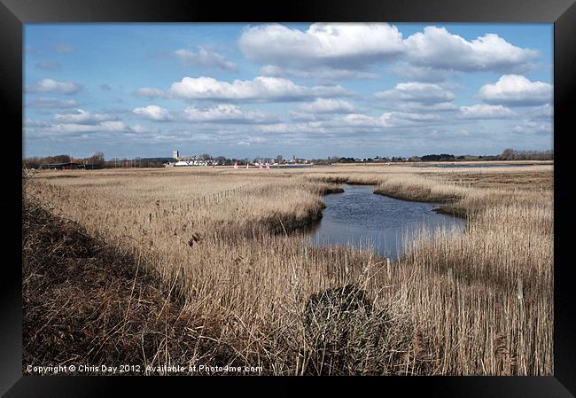 Reed Beds Framed Print by Chris Day