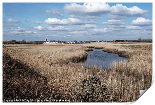 Reed Beds Print by Chris Day