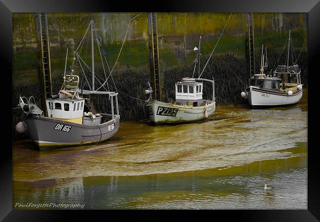 padstow trio green Framed Print by paul forgette