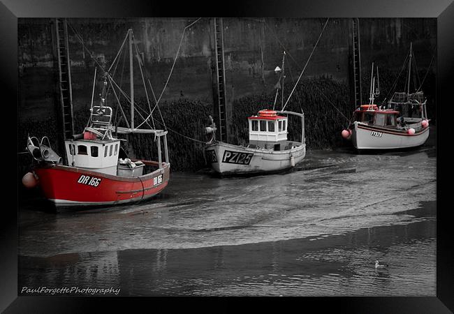 padstow trio red Framed Print by paul forgette
