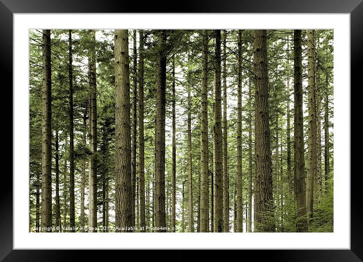 Trees Framed Mounted Print by Natalie Kinnear