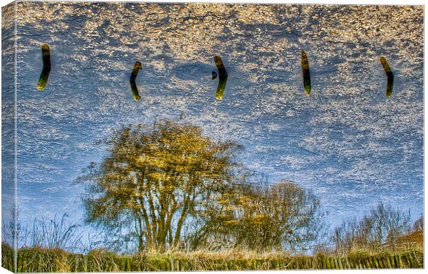 Reflection Canvas Print by Edgars Rimeikis