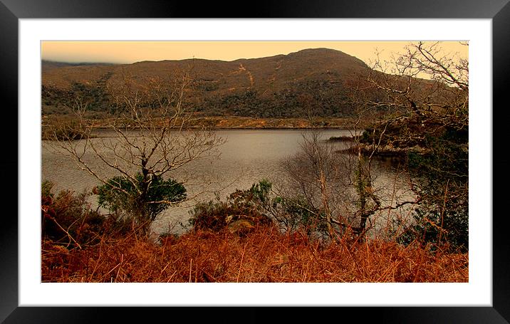 Lake in Killarney National Park Framed Mounted Print by barbara walsh