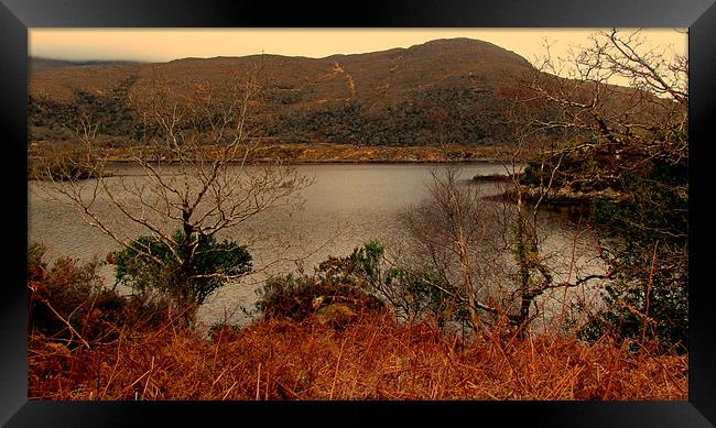 Lake in Killarney National Park Framed Print by barbara walsh