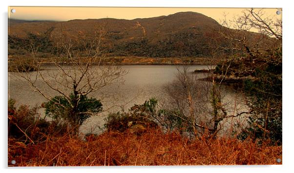 Lake in Killarney National Park Acrylic by barbara walsh