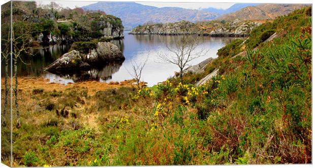 Lake in Killarney Canvas Print by barbara walsh