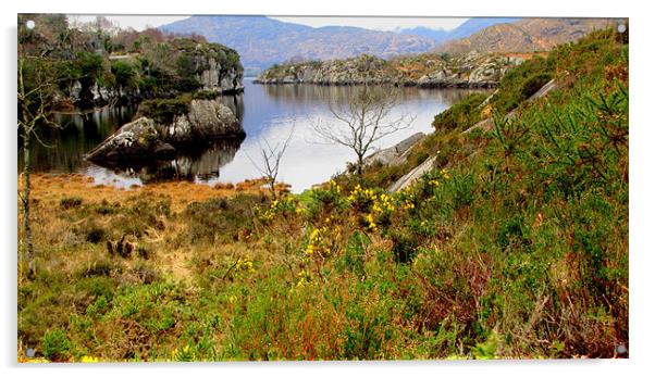 Lake in Killarney Acrylic by barbara walsh