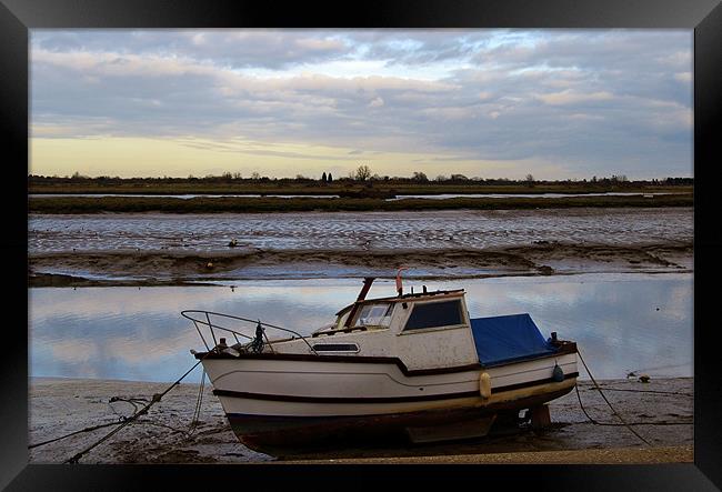 stuck in the mud! Framed Print by linda cook
