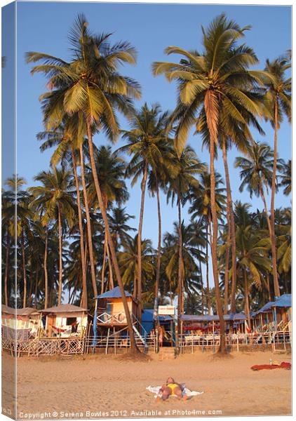 Palm Lined Beach Palolem Canvas Print by Serena Bowles