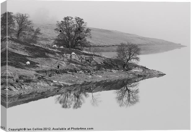 Elan Valley Reflections Canvas Print by Ian Collins