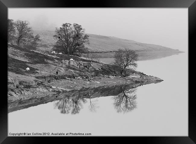 Elan Valley Reflections Framed Print by Ian Collins