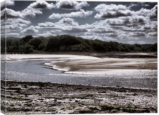 Fremington Quay in Winter Canvas Print by Alexia Miles