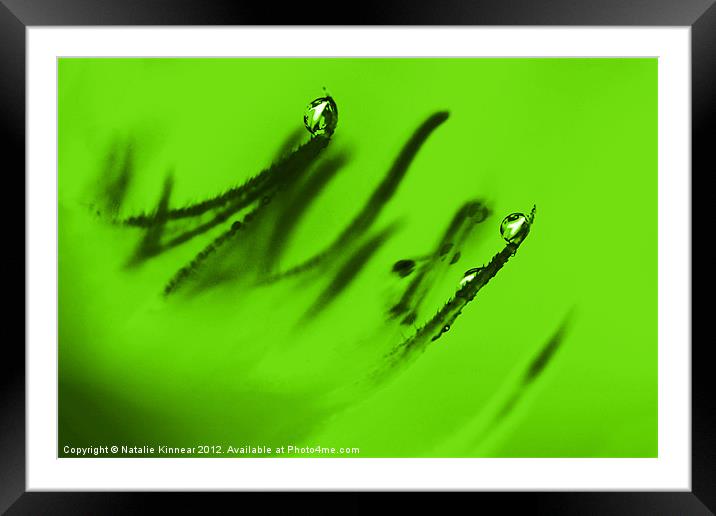 Water Droplets Abstract in Lime Green Framed Mounted Print by Natalie Kinnear