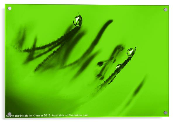 Water Droplets Abstract in Lime Green Acrylic by Natalie Kinnear