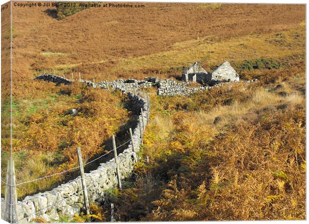 Ruined Cottage in Autumn Canvas Print by Jill Bain