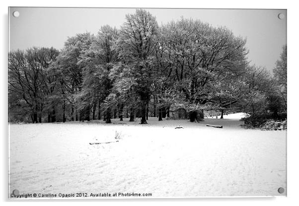 Snowy Hampstead Heath Acrylic by Caroline Opacic