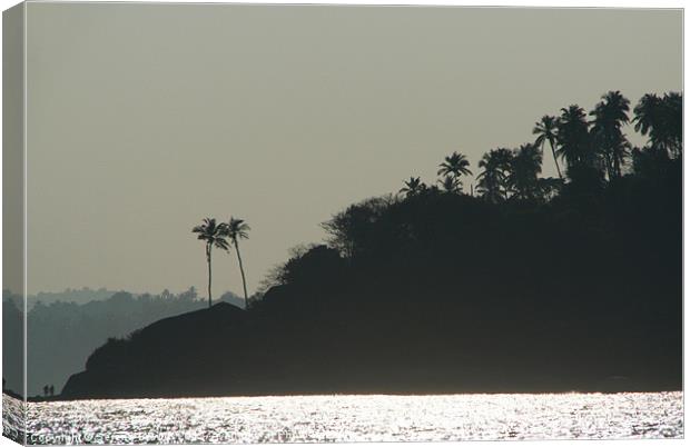 Palm Trees on Monkey Island Canvas Print by Serena Bowles