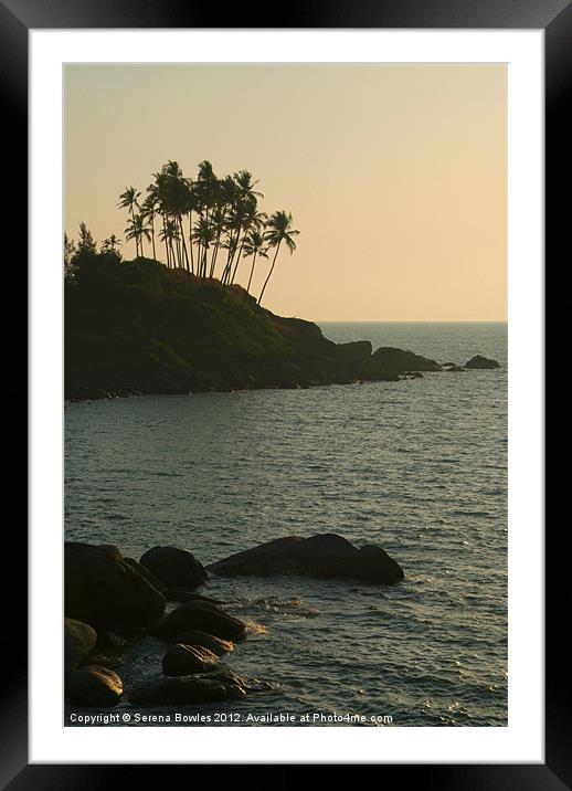 Palm Trees on the Point Palolem, Goa, India Framed Mounted Print by Serena Bowles