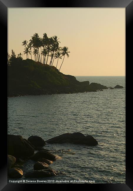 Palm Trees on the Point Palolem, Goa, India Framed Print by Serena Bowles