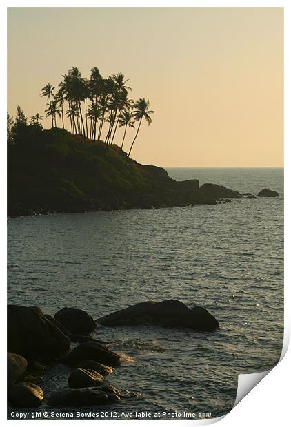 Palm Trees on the Point Palolem, Goa, India Print by Serena Bowles