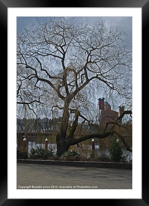 city tree Framed Mounted Print by kirstin price