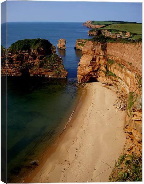 Ladram Bay in England Canvas Print by nick pautrat