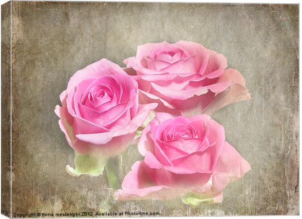 Trio of Pink Roses Canvas Print by Fiona Messenger