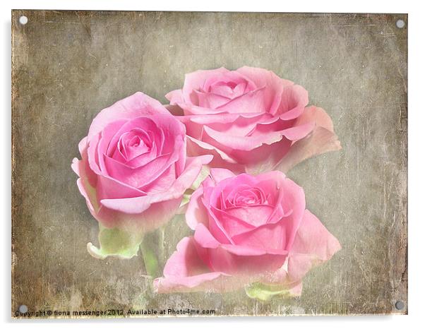 Trio of Pink Roses Acrylic by Fiona Messenger