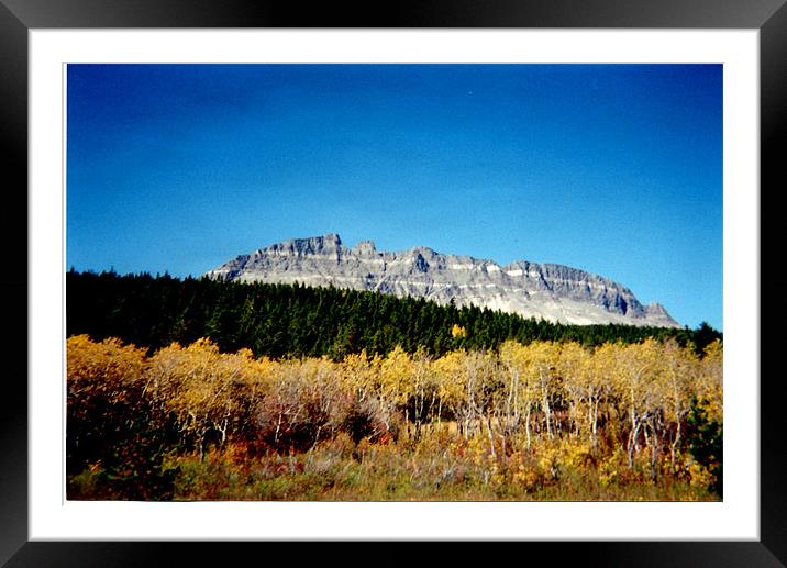 Mountain View Framed Mounted Print by Barbara Schafer