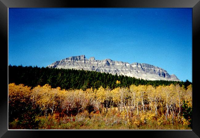 Mountain View Framed Print by Barbara Schafer