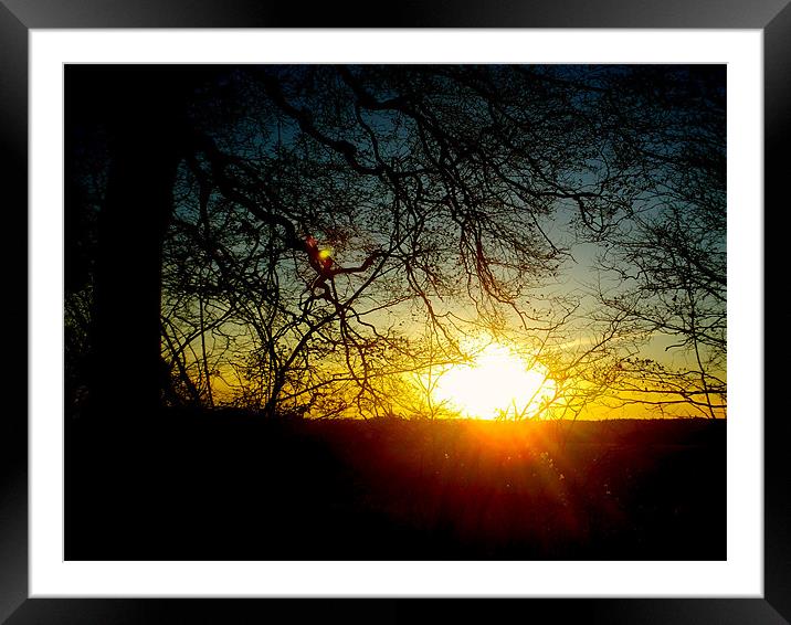 Sun Set Framed Mounted Print by Jack Roebuck