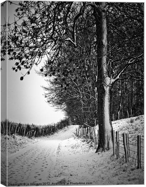 winter time Canvas Print by Jo Beerens