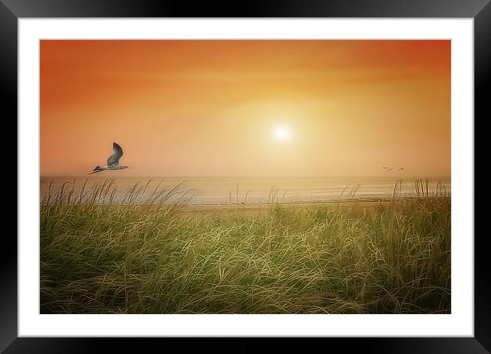 THE SUN AND THE SEA Framed Mounted Print by Tom York