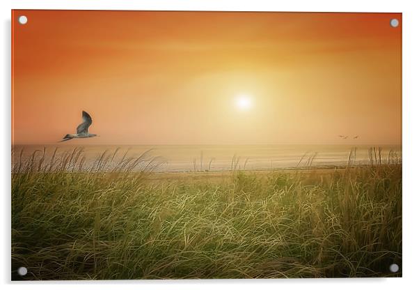 THE SUN AND THE SEA Acrylic by Tom York