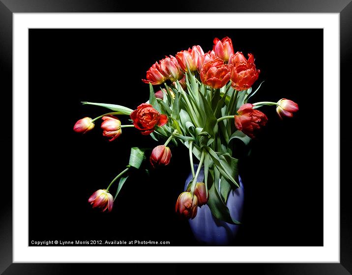 Tulips In a Vase Framed Mounted Print by Lynne Morris (Lswpp)