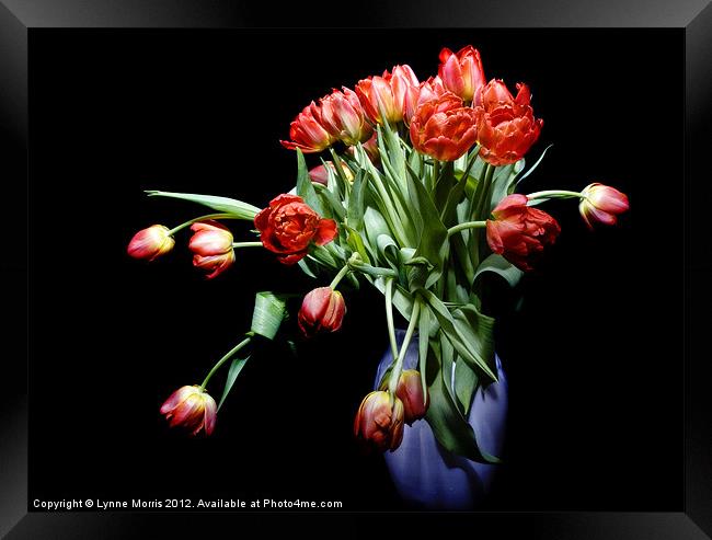 Tulips In a Vase Framed Print by Lynne Morris (Lswpp)