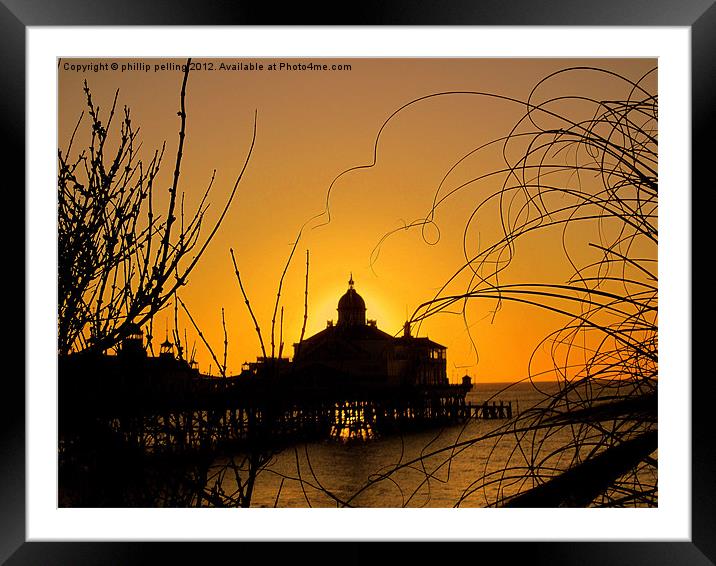 Golden Silhouette Framed Mounted Print by camera man