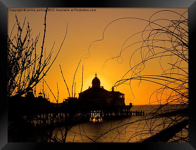 Golden Silhouette Framed Print by camera man