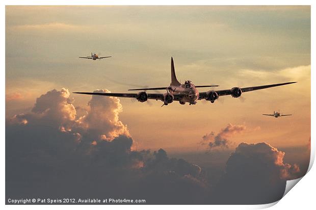 B17 - with little friends Print by Pat Speirs