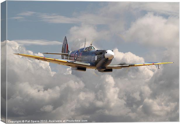 Spitfire - portrait of an icon Canvas Print by Pat Speirs