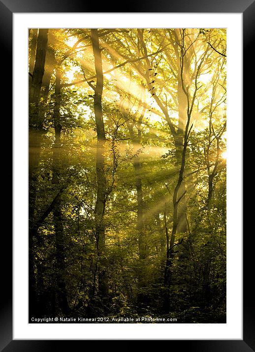 Sunrays Through the Trees Framed Mounted Print by Natalie Kinnear